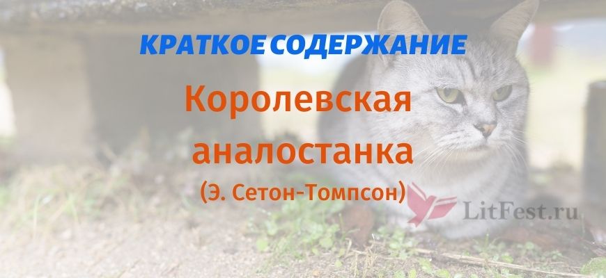 Краткое содержание Королевская аналостанка