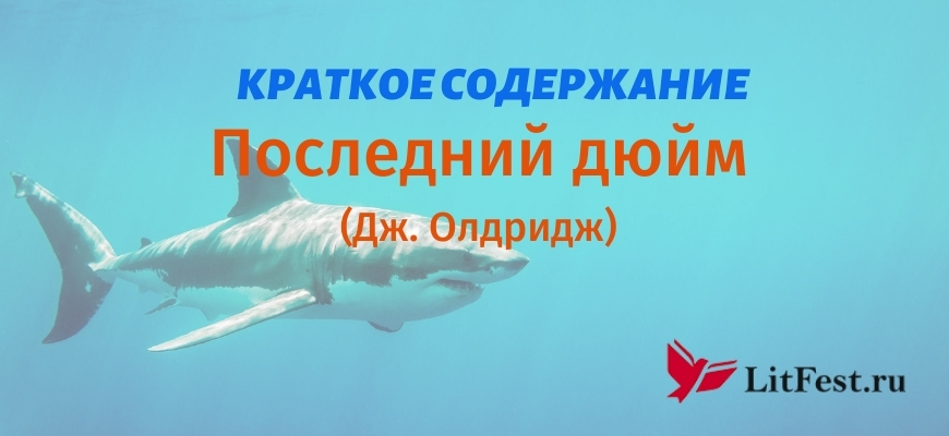 Краткое содержание Последний дюйм