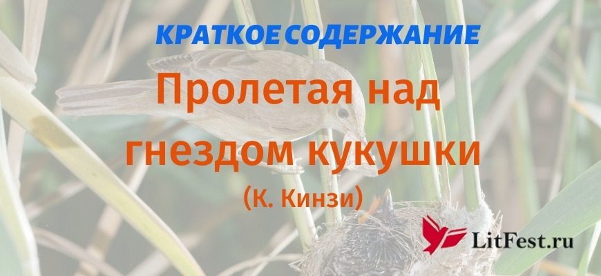 Краткое содержание «Пролетая над гнездом кукушки» К. Кизи