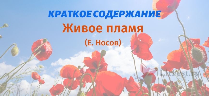 Краткое содержание Живое пламя