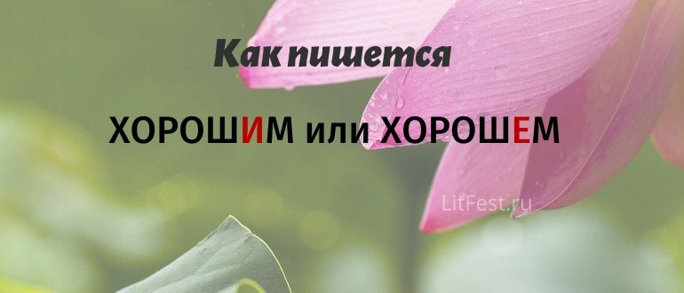 Когда писать «хорошим», а когда «хорошем»