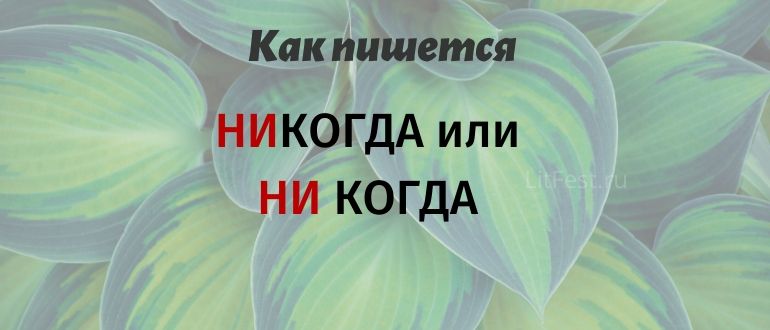 Слово «НИКОГДА», когда вместе и когда раздельно