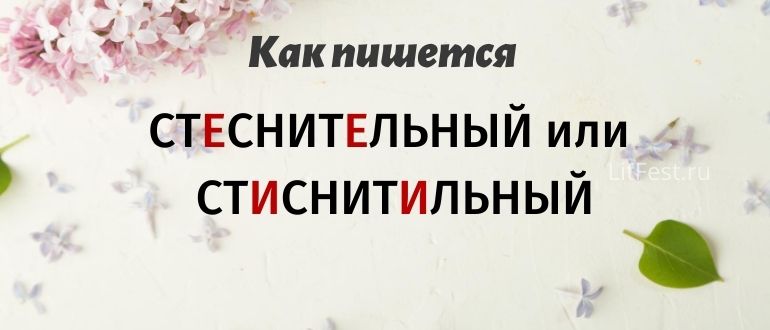 Как проверить слово «стеснительный»