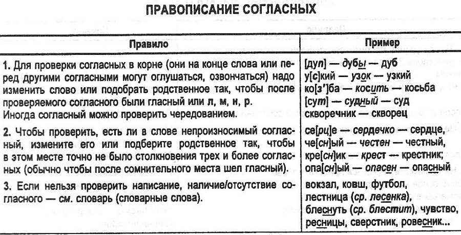 Правила примеры. Правило написания согласных в корне слова. Правописание согласных в корне слова правило. Правописание гласных и согласных в корне правило. Правописание гласных и согласных в корнях слов.