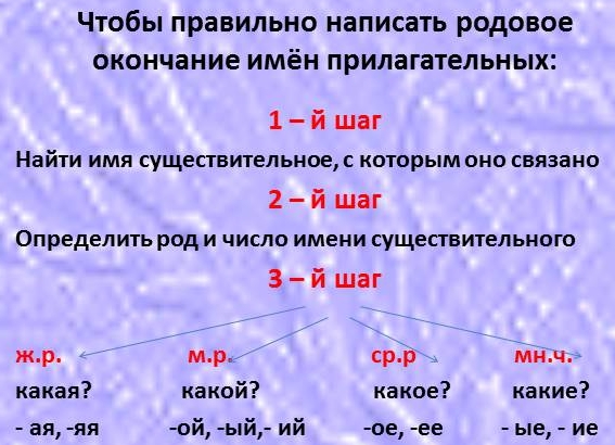 Правописание падежных и родовых окончаний