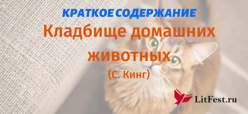 Краткое содержание Кладбище домашних животных